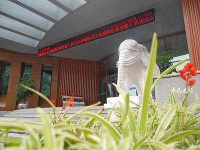 农夫山泉矿泉水多少毫升一瓶？常见规格一览